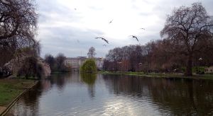 Beautiful St. James Park and Buckingham Palace in the background.